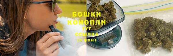 apvp Белокуриха
