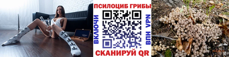 Псилоцибиновые грибы мицелий Олёкминск